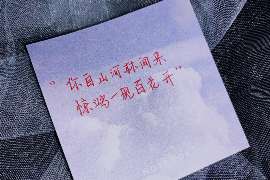 惠州婚姻调查：无效或者被撤销的婚姻的法律后果